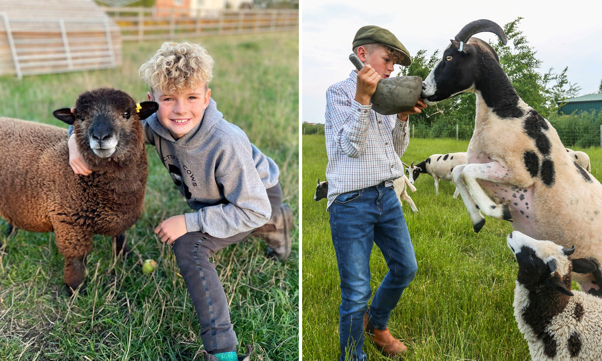 11-Year-Old Boy With Autism Rents His Own Land, Breeds Sheep, and Has Taught Himself to Spin Wool