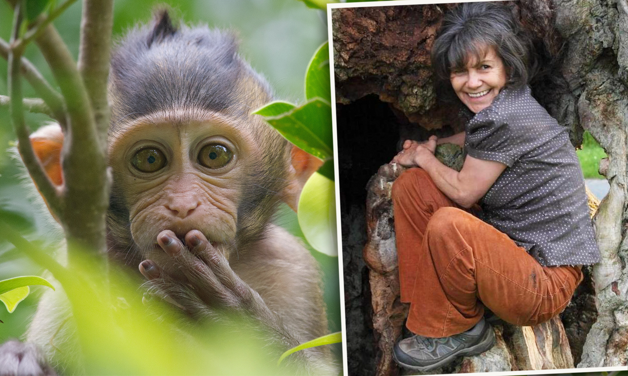 Woman Tells Her Story of Being Kidnapped at 4 and Growing Up With Monkeys in the Jungle