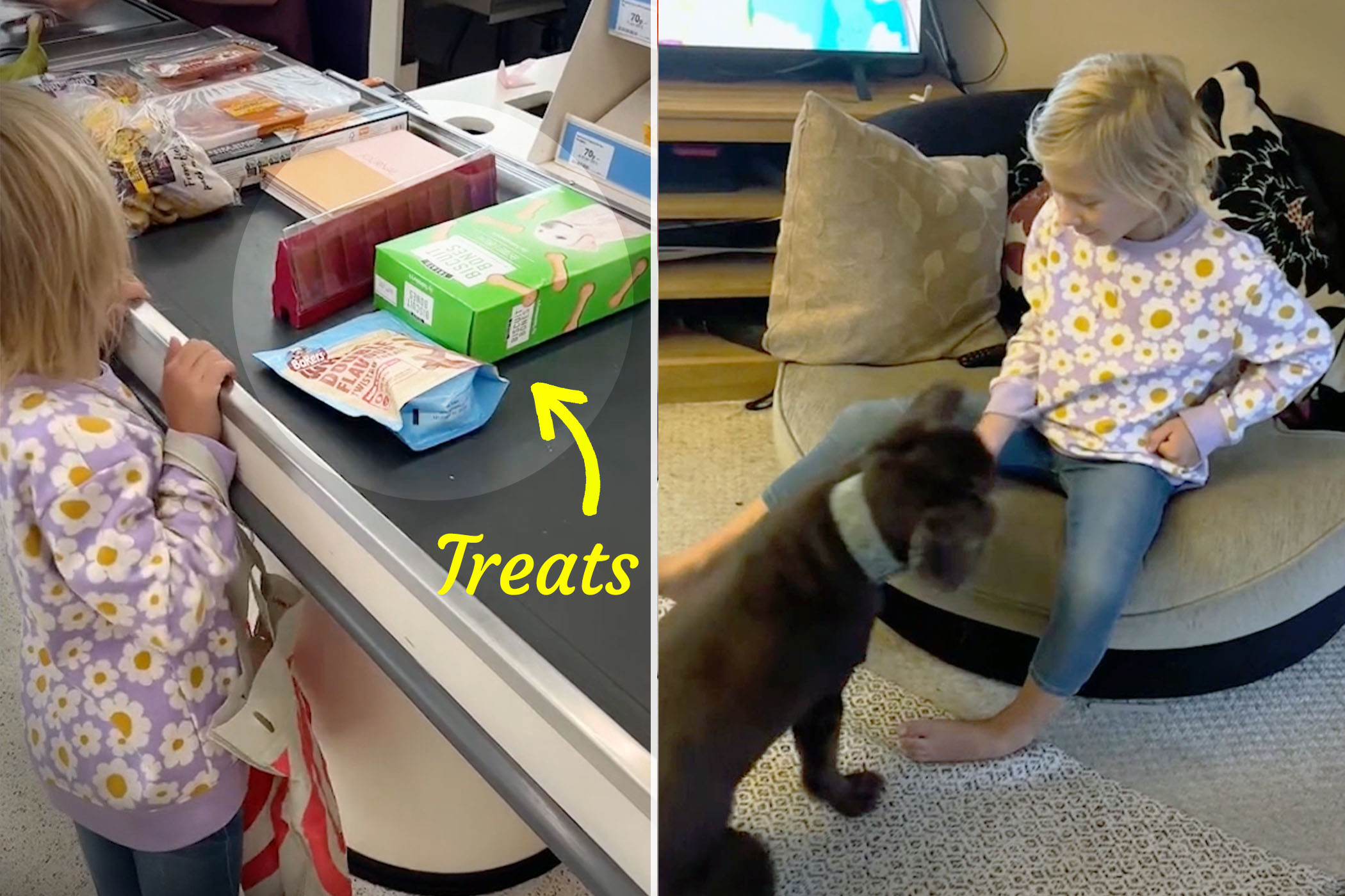 6-Year-Old Shops for First Time With Own Money—Selflessly Only Buys Treats for Her 2 Elderly Dogs