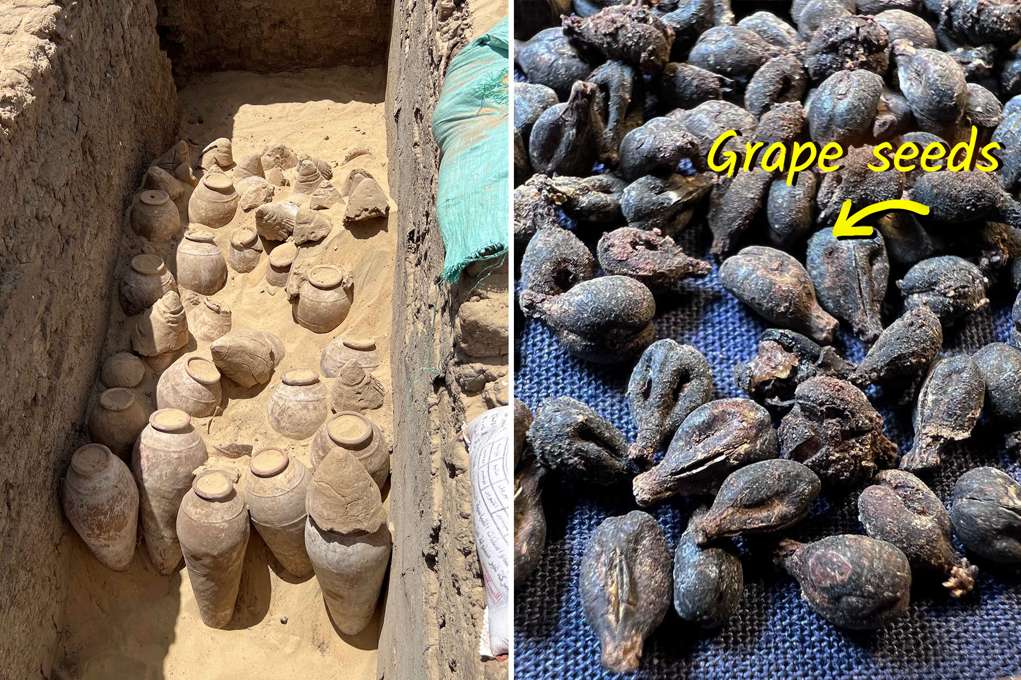 Scientists Find 5,000-Year-Old Jars of Wine With Preserved Grape Seeds in Tomb of Egyptian Queen