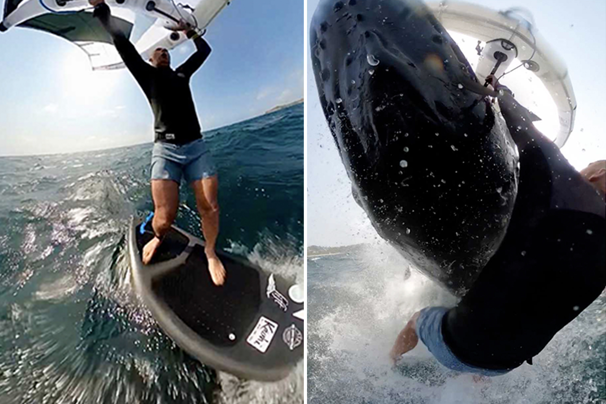 Surfer Captures Ultra-Rare Moment He Collides With Breaching Whale—And Video Goes Viral