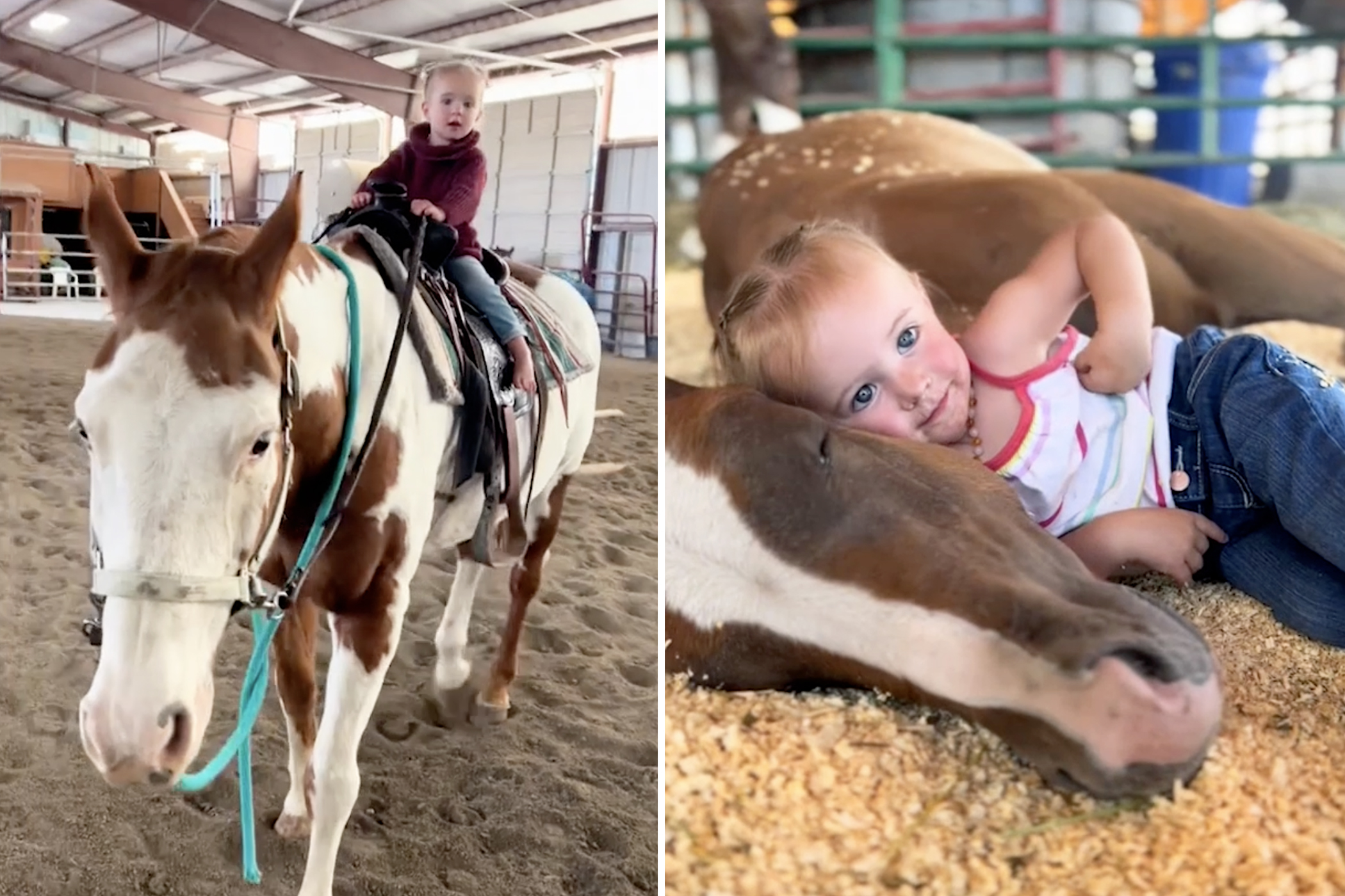 'Horses Can Feel Her': Meet the 2-Year-Old 'Horse Whisperer' Who Can Ride Full Grown Horses