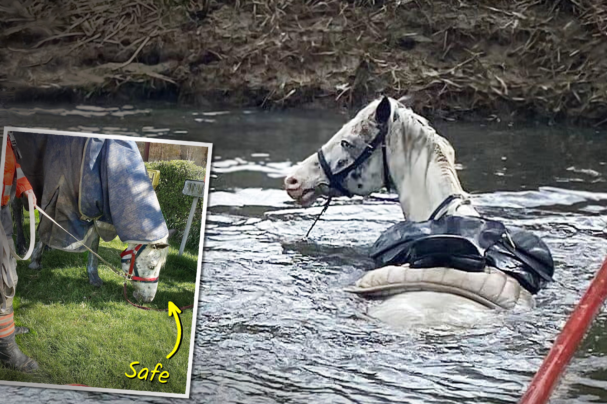 Horse Takes Tumble Into River After Spook—Then Local Firemen Use This Smart Trick to Save Her