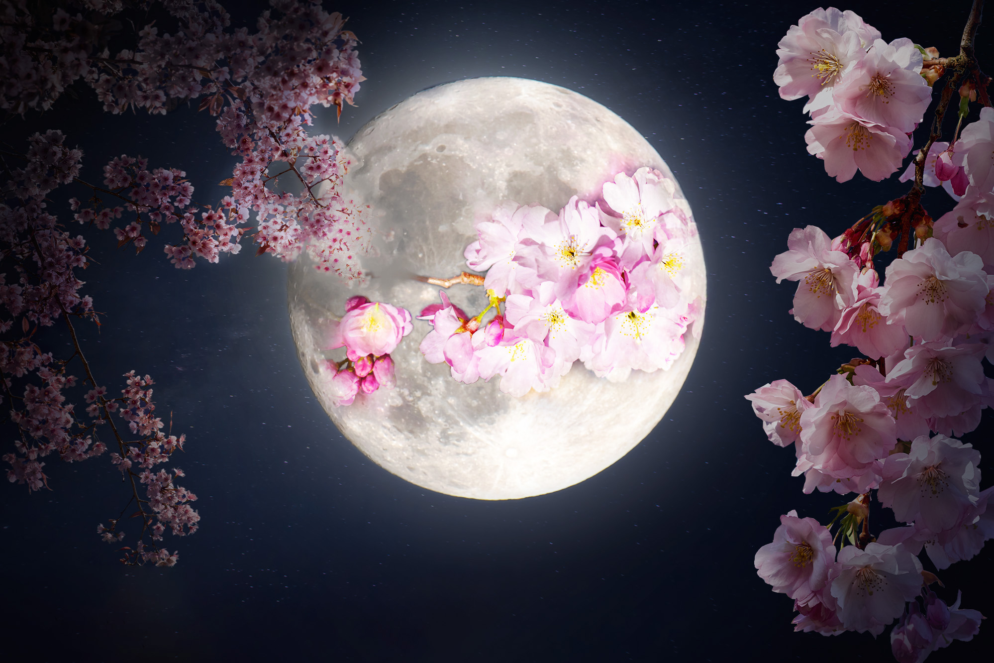 Full ‘Flower Moon’ in May to Shine in the Springtime Sky—Here’s How It ...