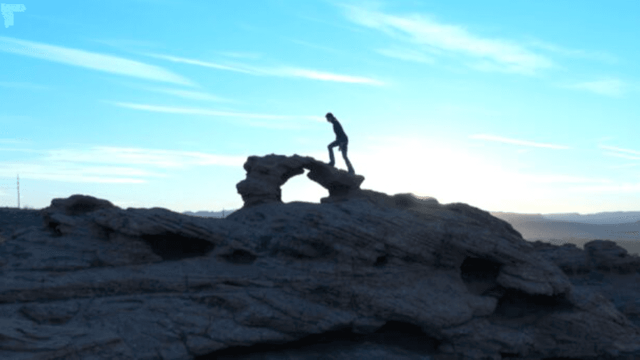 Telling True Stories: How Documentaries Move Mind, Heart, & Soul