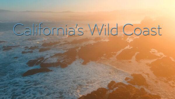 California’s Wild Coast