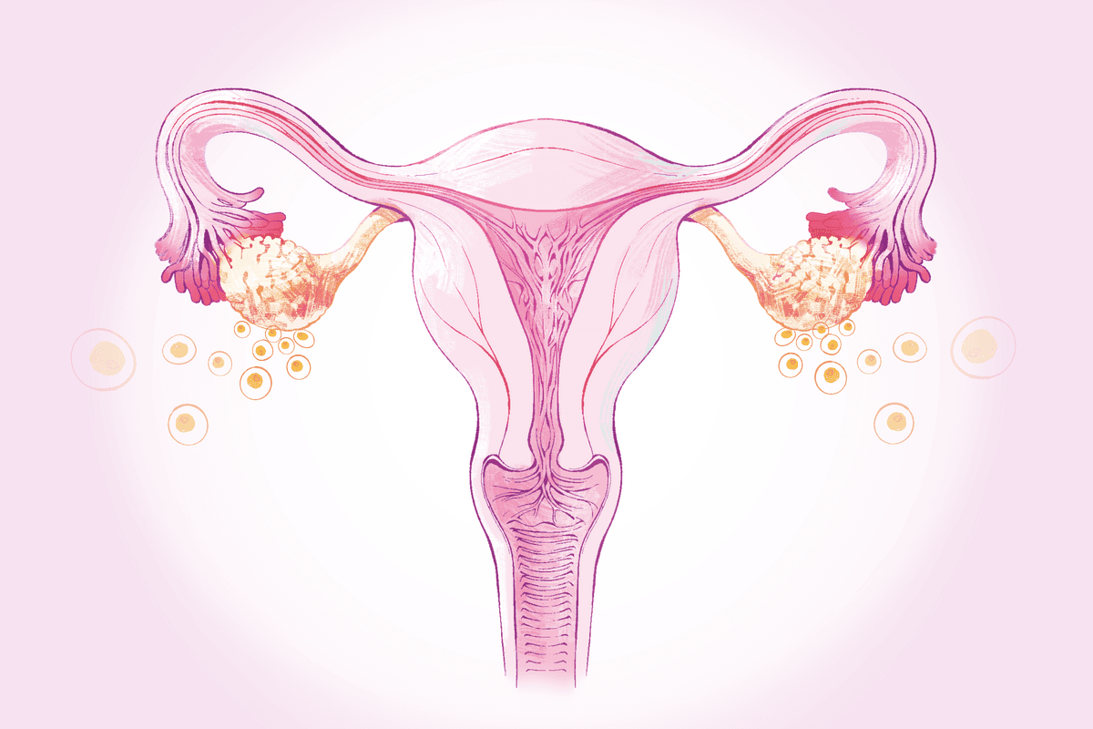 Menopause: A Natural Phase Every Woman Experiences After 45–Here Are the Common Relief Methods