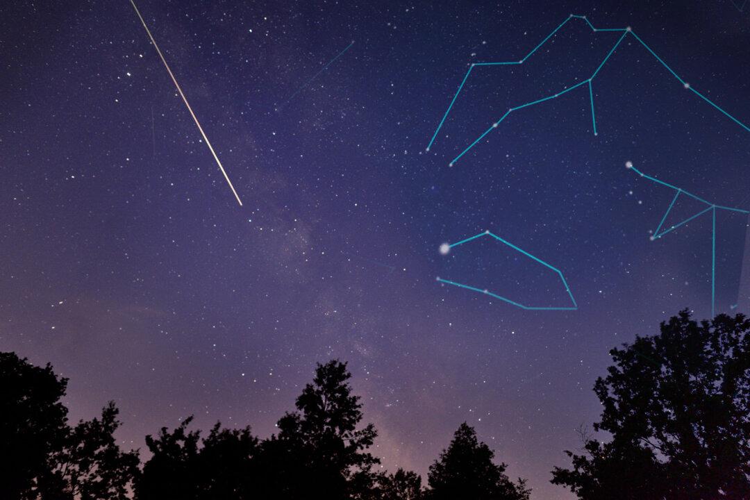 Delta Aquariid Shooting Stars Will Crisscross 3 Other Meteor Showers in July—What to Know