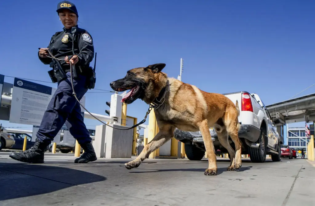 CBP Seizes More Than Half a Million Dollars Worth of Cocaine at Border