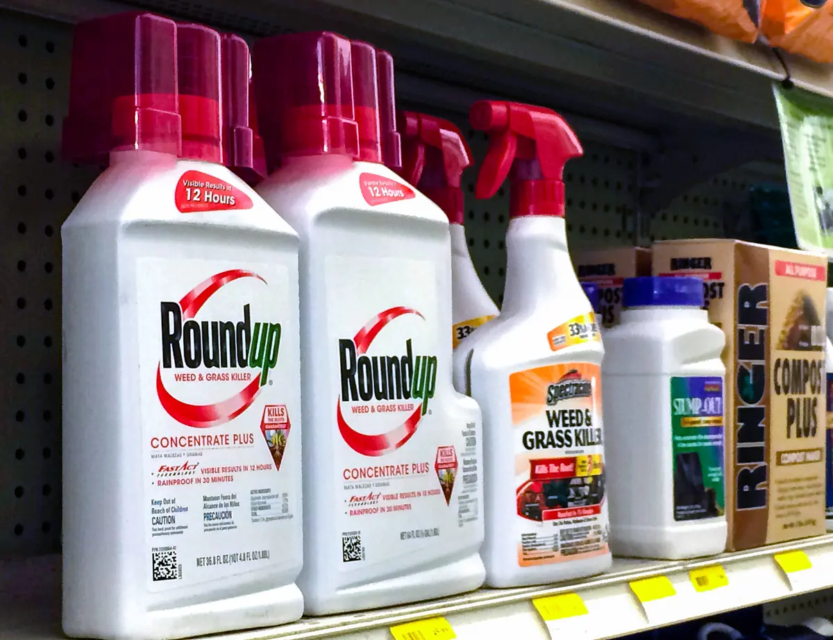 Trump Administration Urges Supreme Court to Overturn Ruling on Bayer’s Roundup thumbnail