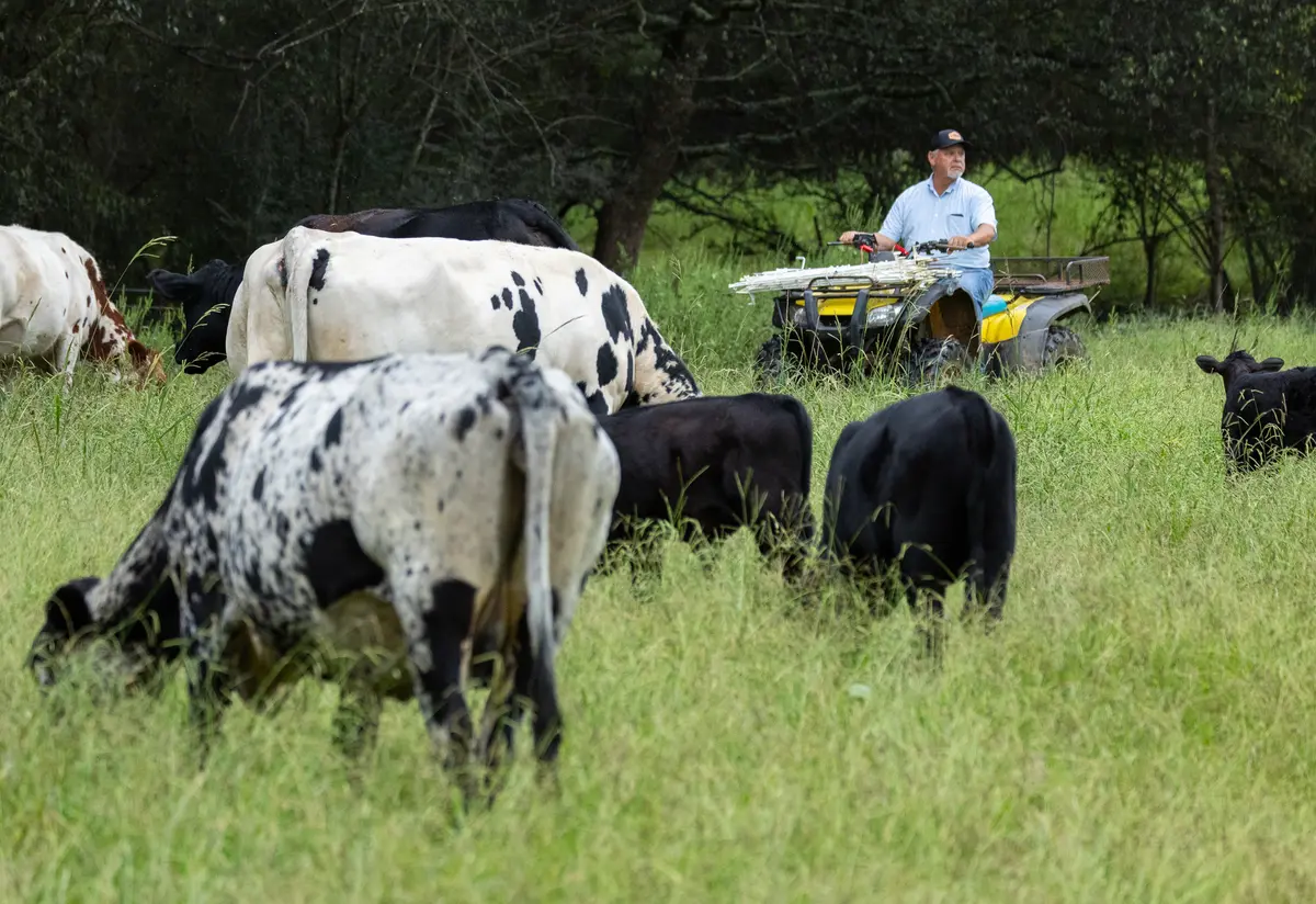 MAHA Movement Emphasizes Shift Away From Glyphosate to Regenerative Farming, Eating Real Food