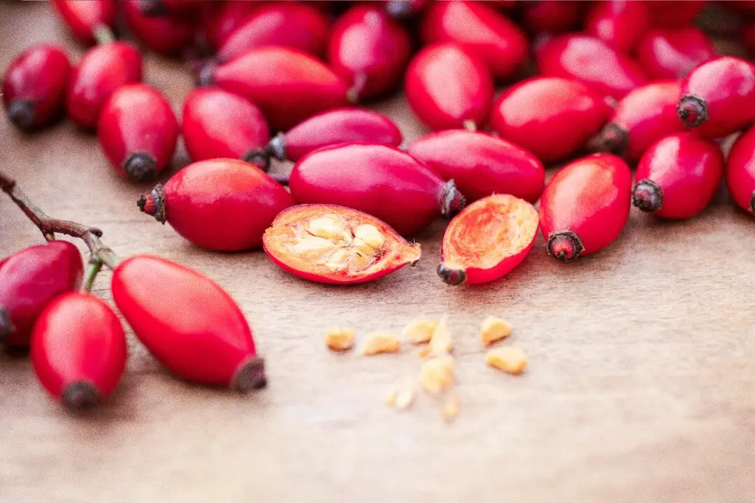 How to Use Rose Hips for an Autumn Boost of Vitamins C and E