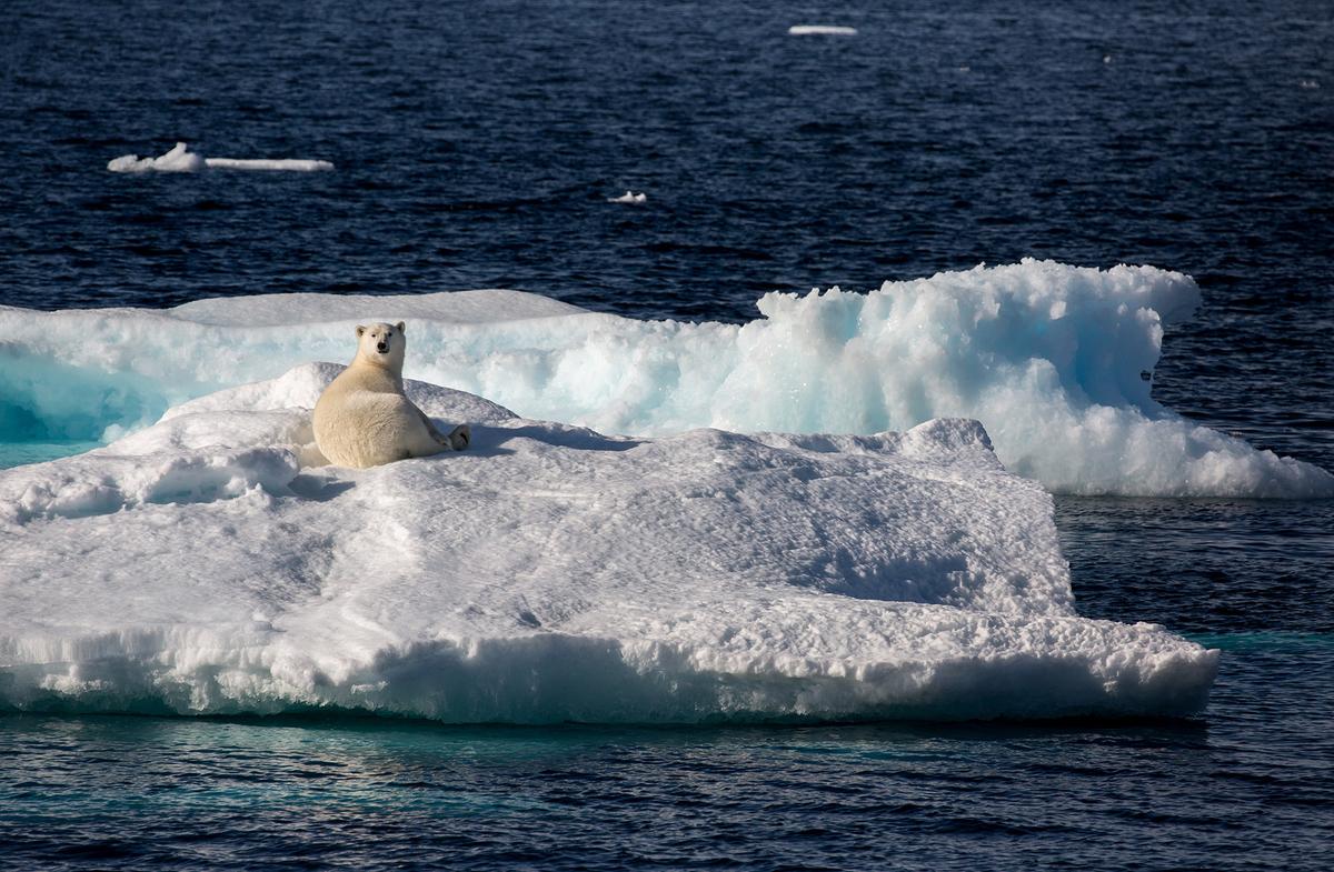 Greenland Should Talk to US Without Denmark, Opposition Leader Says thumbnail