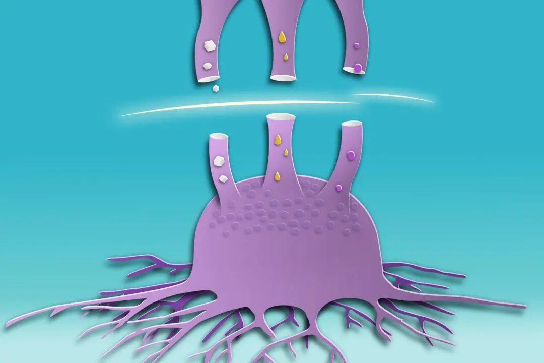 Beyond Sugar: Cancer’s Use of Alternative Fuels to Grow, and How to Stop It