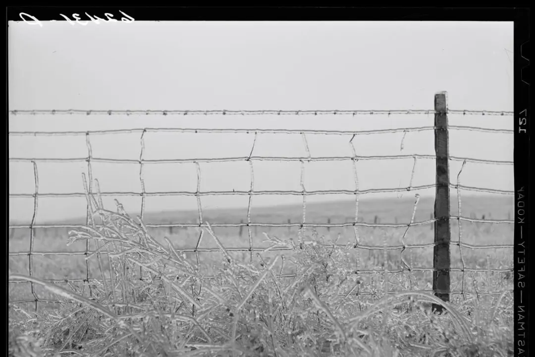 Joseph F. Glidden: The Man Who Fenced in America