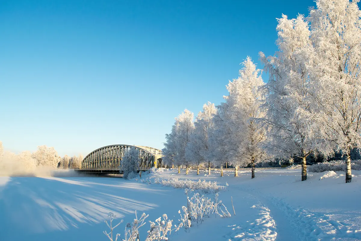 Tune in Today: Sibelius’s Perfectly Original Symphony