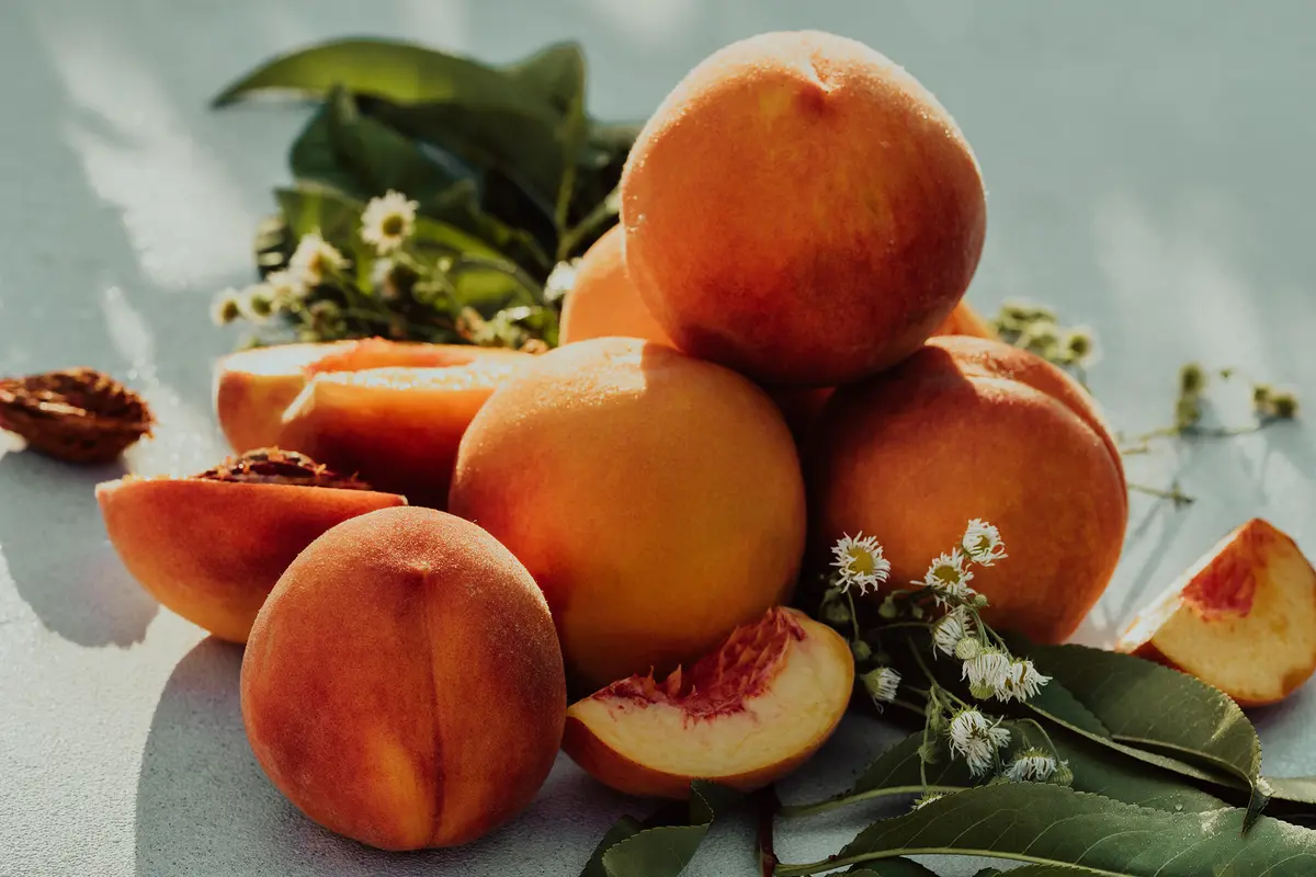 Juicy Fruits: Tropicals and Subtropicals for American Gardens thumbnail