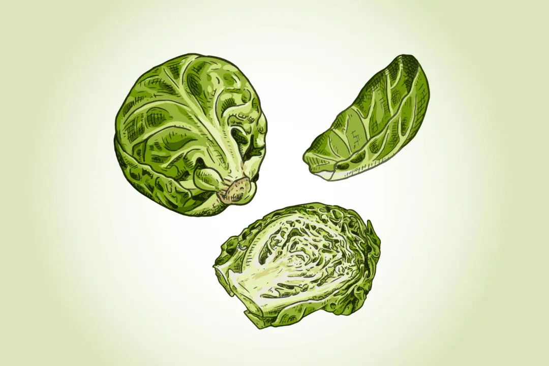 Brussels Sprouts: The Tiny Veggie That Detoxes and Protects DNA—How to Maximize Benefits