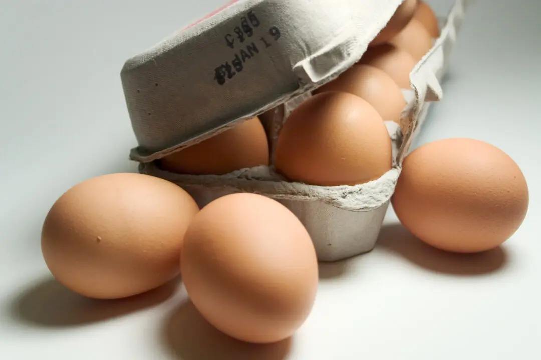 Debunking Dietary Deceptions: Do Eggs Raise Your Cholesterol?