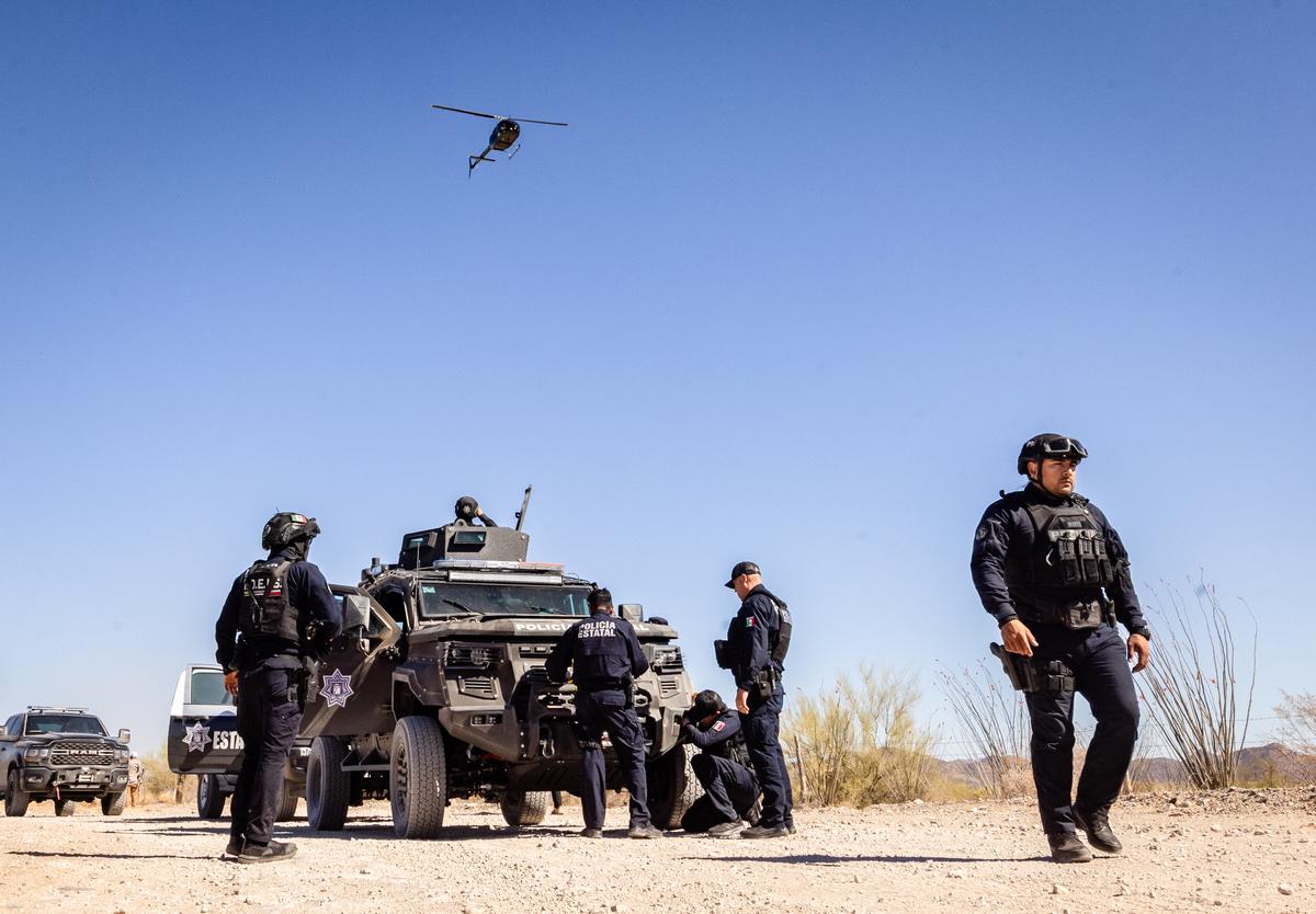 Trump Says US Will Begin Land Strikes on Cartels in Mexico thumbnail