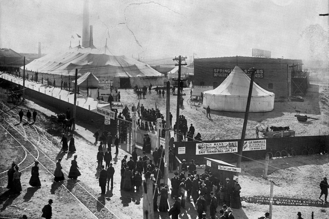 Taking the Kids: And Introducing Them to a World They Don’t Know