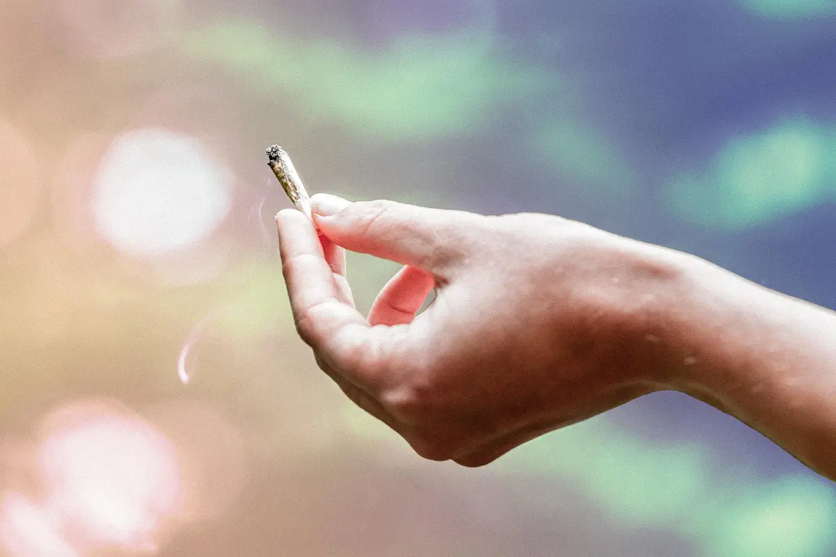 How Marijuana Has Changed in Effects and Potency