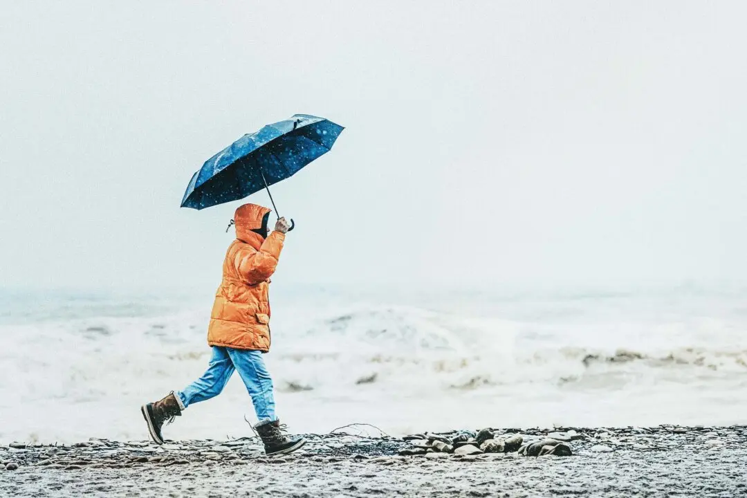 When the Storm Comes