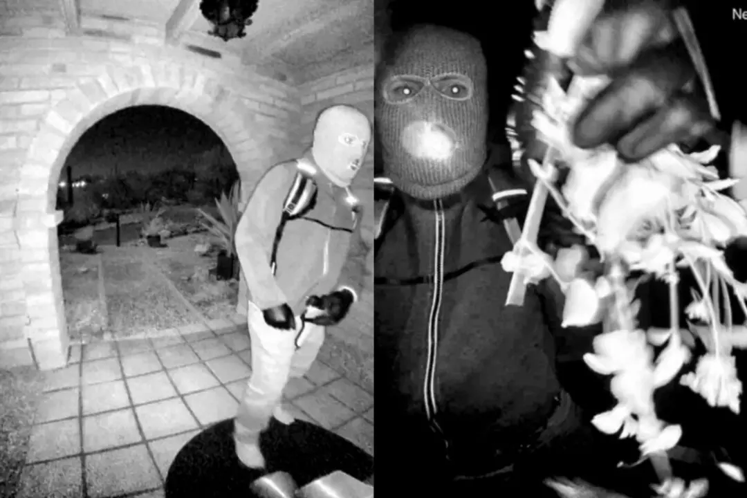 FBI Releases New Images of Potential Suspect in Nancy Guthrie Kidnapping