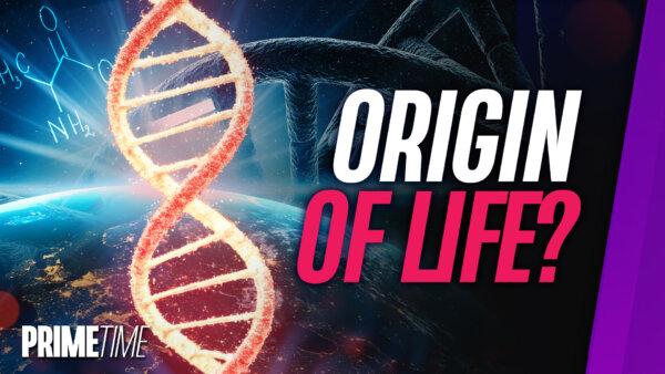 70 Percent of Amino Acids Needed for Life Found on Asteroid: Bonus Segment | NTD Primetime