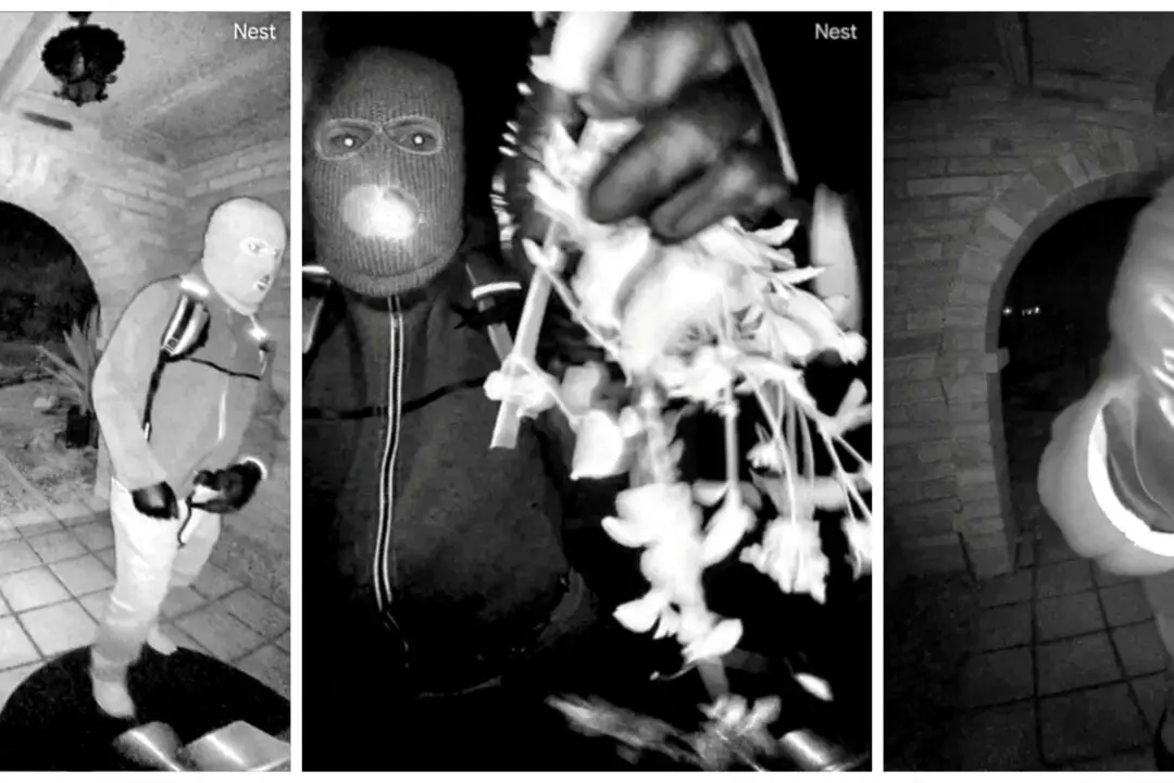 Masked-Prowler Video Tops Sheriff’s List of Clues to Nancy Guthrie Abduction