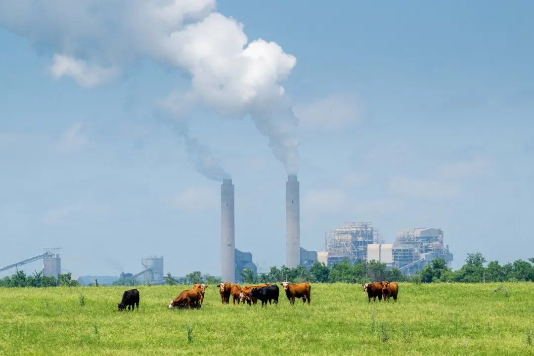 EPA Spending Slashed by More Than Half in Trump Admin’s Proposed 2027 Budget