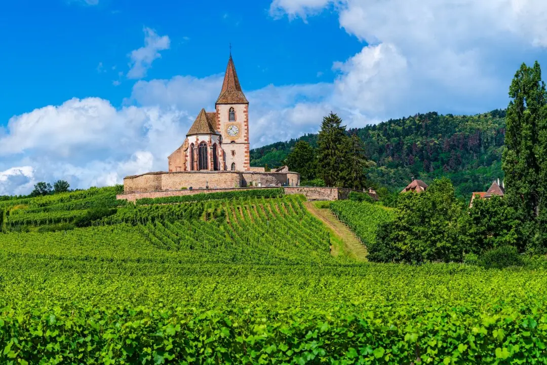 Gorgeous Wines of Alsace