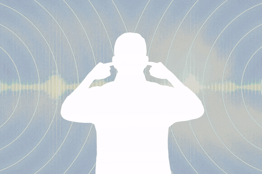 The Invisible Damage of Noise on the Body