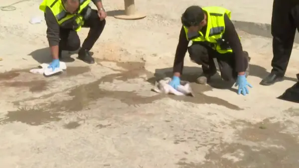 Israeli Security, Rescue Teams Gather at Site Attacked by Iranian Missile in Central Israel