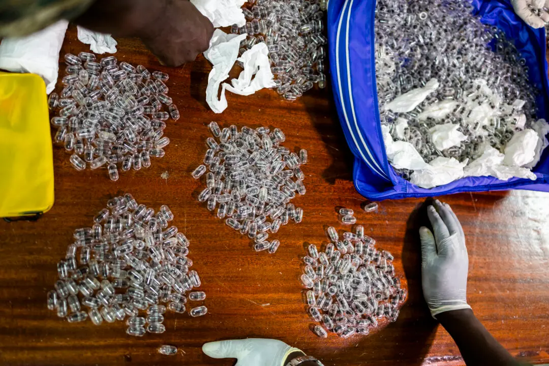 TOPSHOT - A Kenya Wildlife Services (KWS) warden displays some of the syringe cartridges modified to carry live ants at the Jomo Kenyatta International Airport law courts in Nairobi on March 17, 2026. Chinese national, Zhan Kequn, and his co-accused Kenyan, Charles Mwangi (both not in picture), have been arraigned to take a plea on charges of dealing in wildlife species contrary to laws regulating wildlife conservation after they were found in possession of more than two thousand live ants intended to be trafficked internationally. (Photo by Tony KARUMBA / AFP via Getty Images)