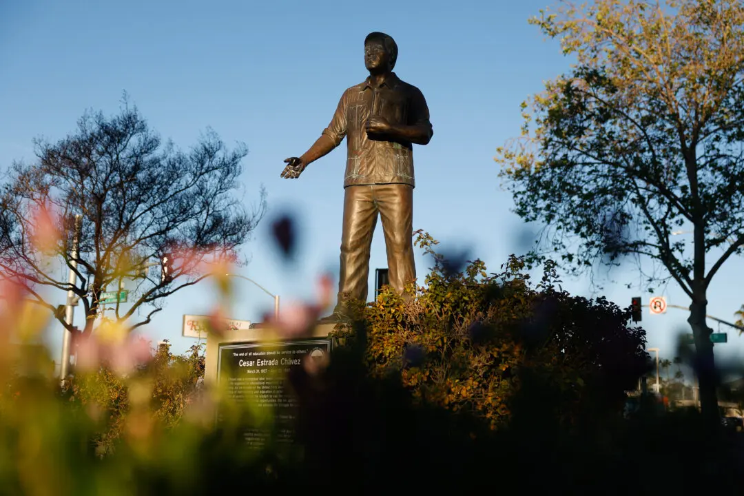 A statue of labor leader and civil rights activist Cesar Chavez is displayed at the Cesar E. Chavez Memorial Park in San Fernando, Calif., on March 18, 2026. The United Farm Workers said it will cancel or withdraw from Cesar Chavez Day events after abuse allegations involving its late co-founder Cesar Chavez, and is working to establish independent channels for potential victims to come forward. (Justin Sullivan/Getty Images)