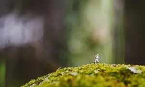 The Quiet Disciplines Behind a Good Life