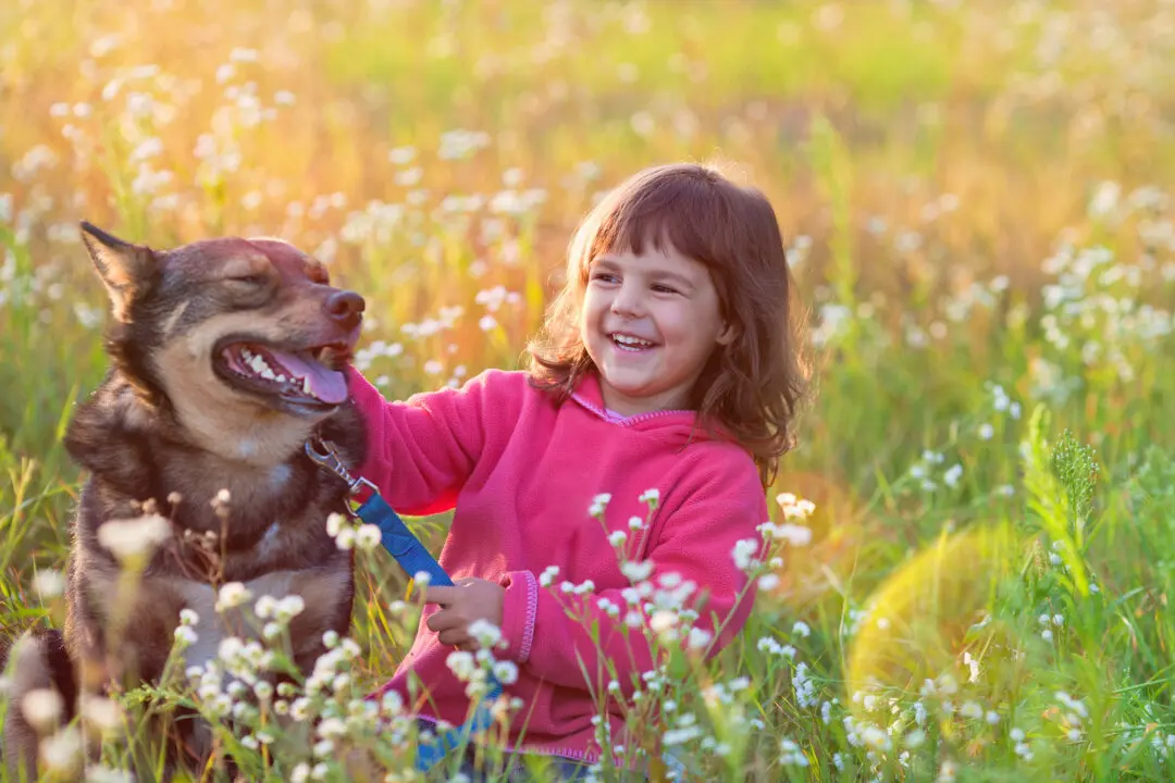 Faithful Companionship: The Case for Having a Dog