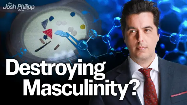 Are Endocrine Disruptors Destroying Masculinity?