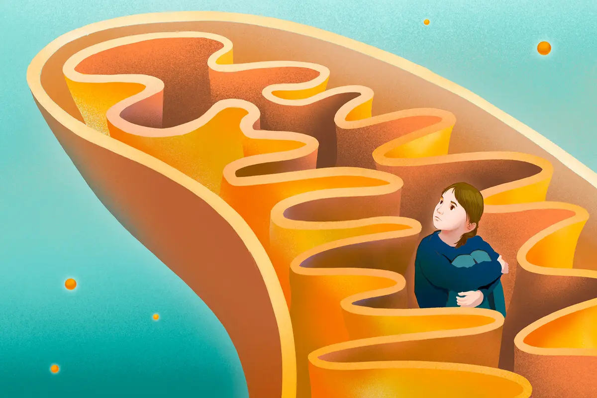 Mitochondrial Dysfunction: An Underlying Driver of Autism and What May Help