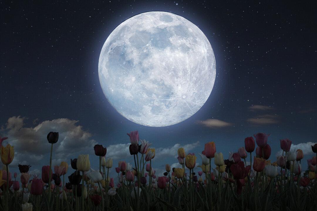 Two Full Moons Will Occur in May, Including a Rare ‘Blue’ Micromoon—What You Need to Know