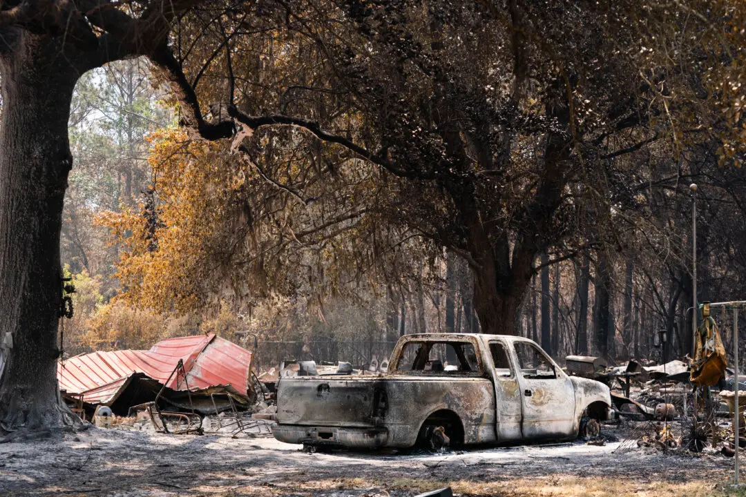View of Wildfire Damage in Washington State