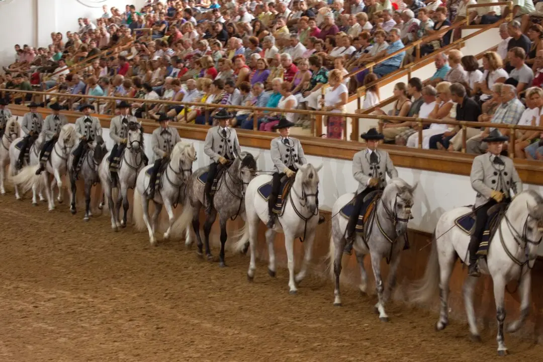 Rick Steves’ Europe: Europe’s Animal Shows and Experiences
