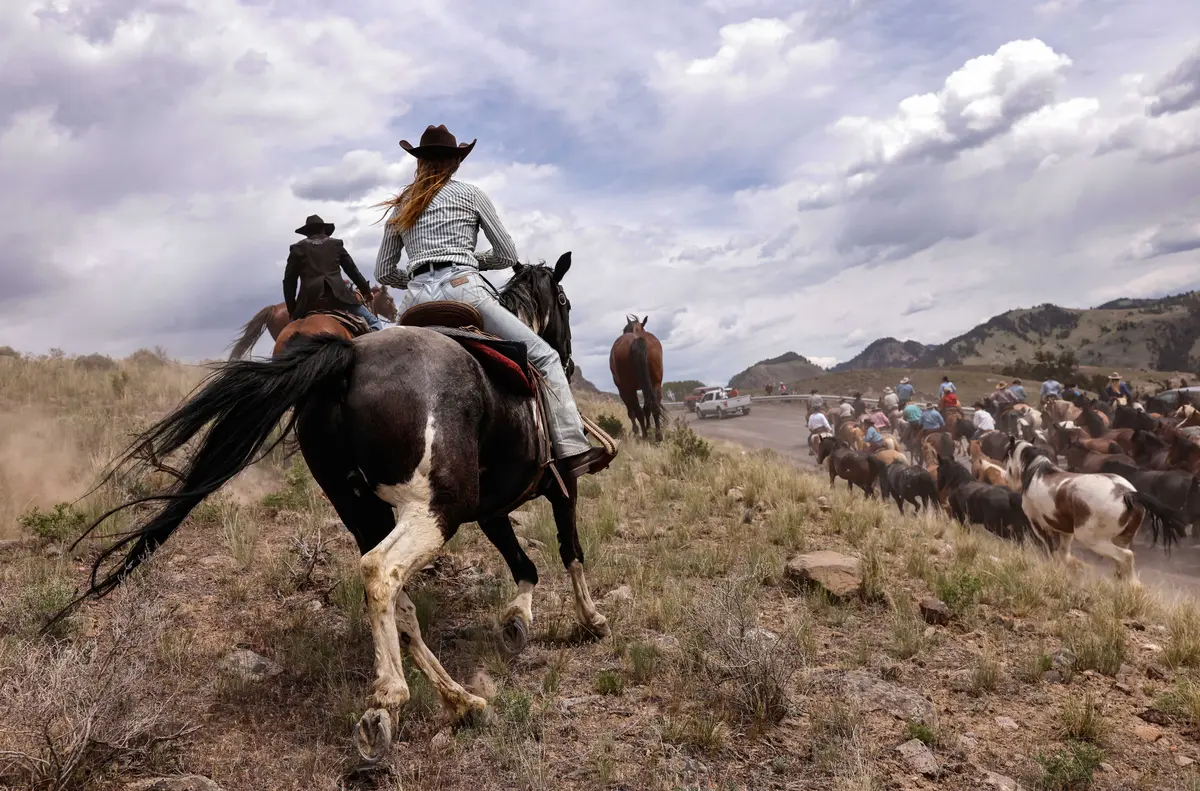 America in Photos: Horse Drive Fundraiser, Chemical Leak, and Military Academy Graduation