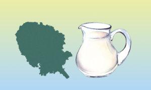 A Vegetable That Beats Milk in Calcium Bioavailability
