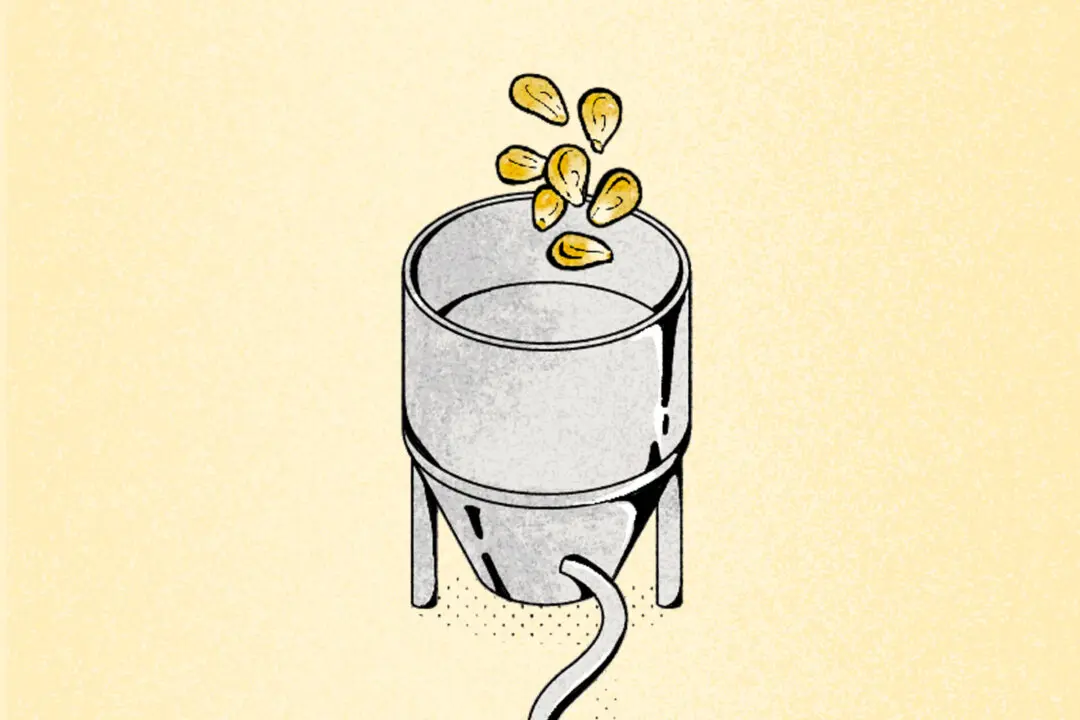 What Food Processing Actually Does to Your Food