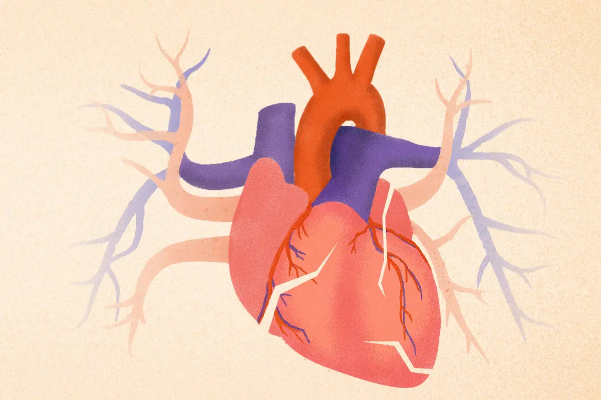 What Standard Cardiac Testing Fails to Capture