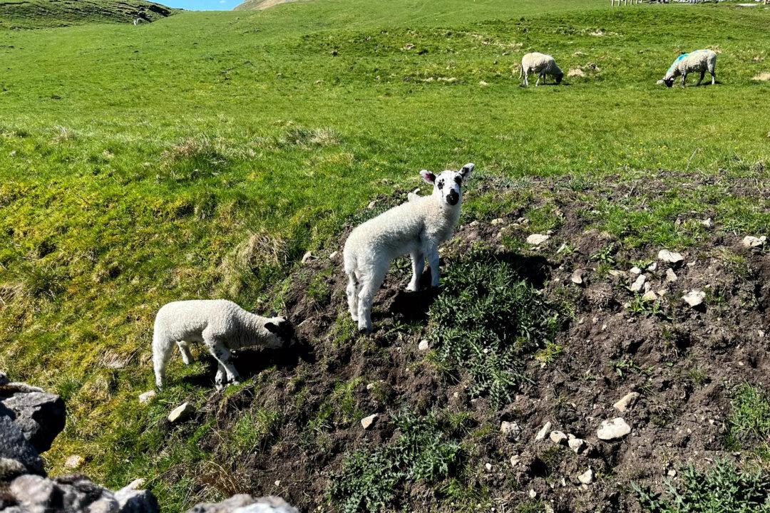 My Pilgrimage to Yorkshire—and Why You Should Take the Trip of Your Literary Dreams