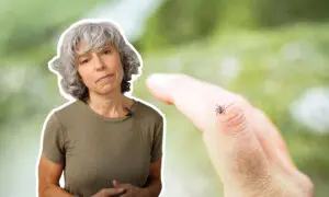 How to Stay Tick-Free This Summer