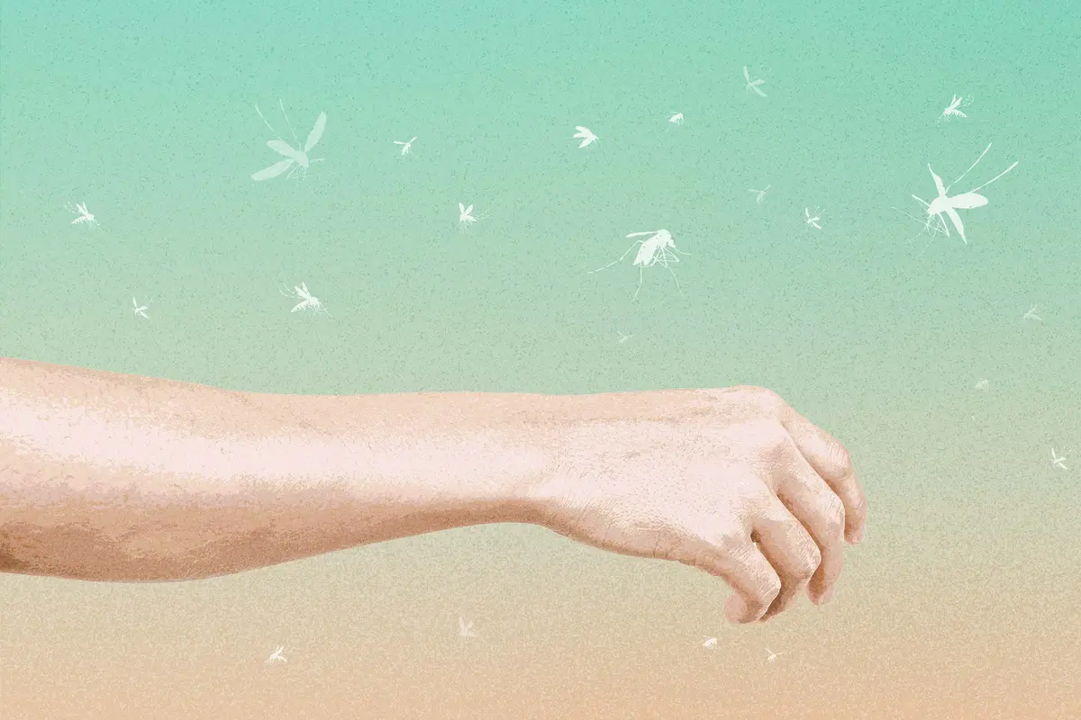 12 Things That May Make You a Mosquito Magnet